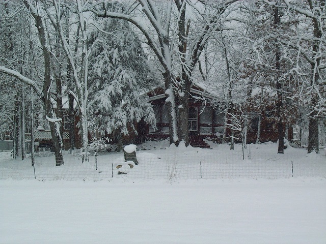 winter 2